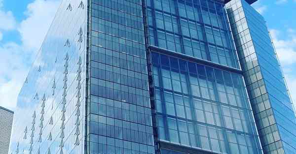 外国语单招大数据的行业文章