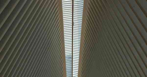 外国语单招大数据的行业文章