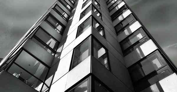 全自动智能宠物机器人 宠物机器人COZMO