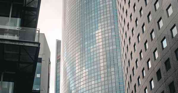 外国语单招大数据的行业文章