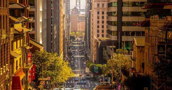 大学人工智能机器人编程