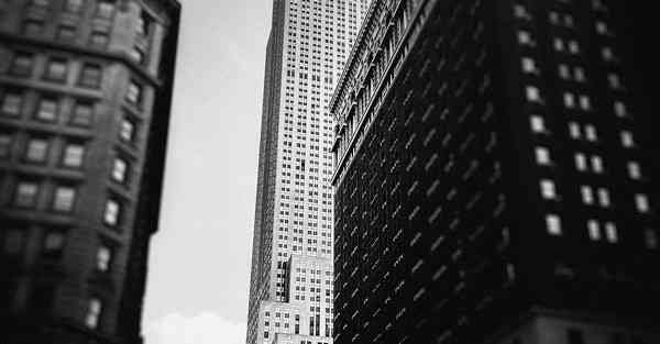 外国语单招大数据的行业文章