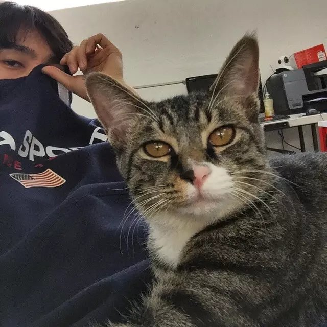 解斌启宇