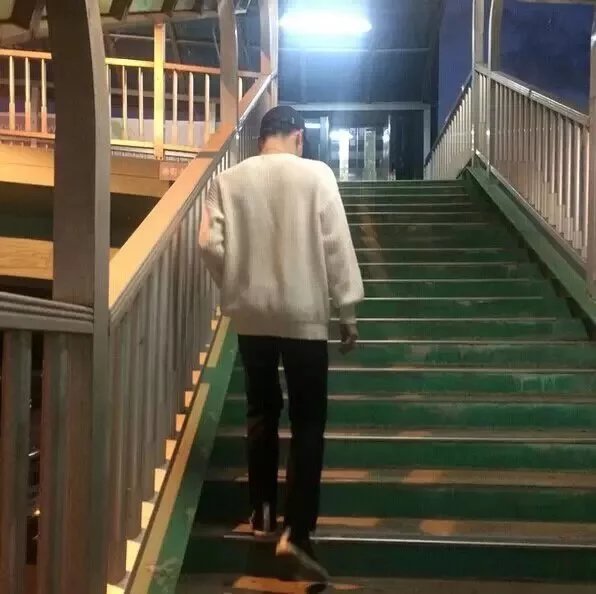顾霭岚滢