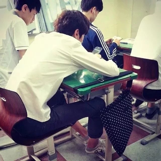 尚茗娟紫