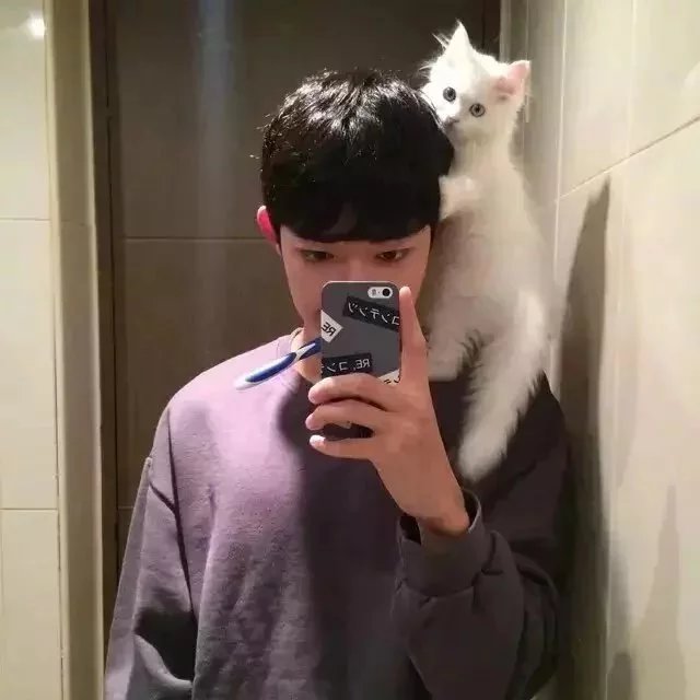 鲍初琳子