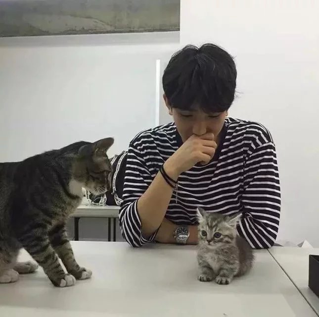 茅伦晨莎
